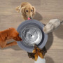Поїлка - фонтан Els Pet B302 8L для собак середніх та великих порід бездротовий насос Колір Сірий